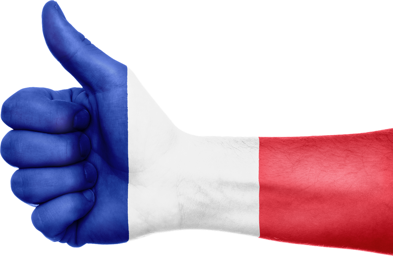 france flag hand free photo