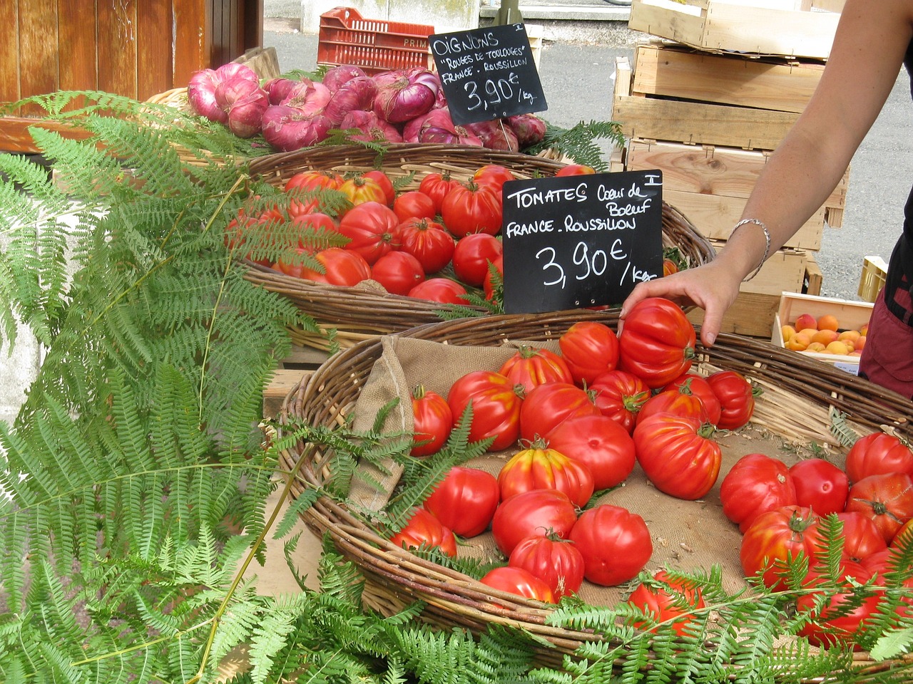 france market tomatoes free photo