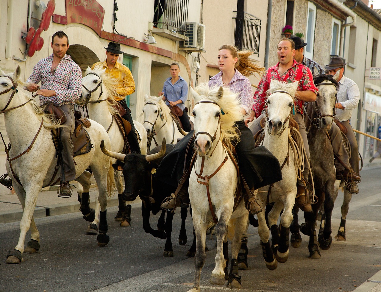 camargue gardian village festival free photo