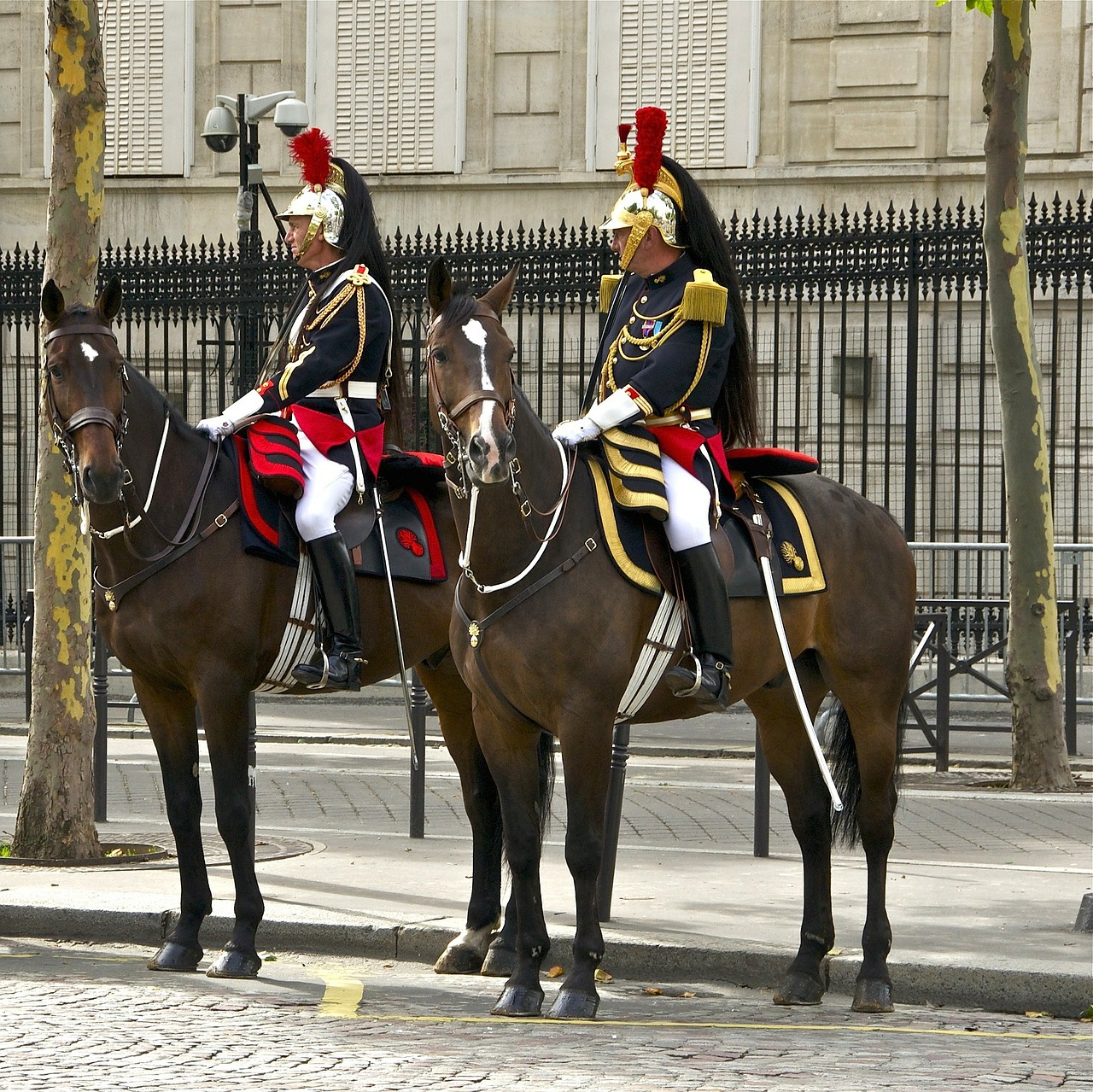 france paris horses free photo