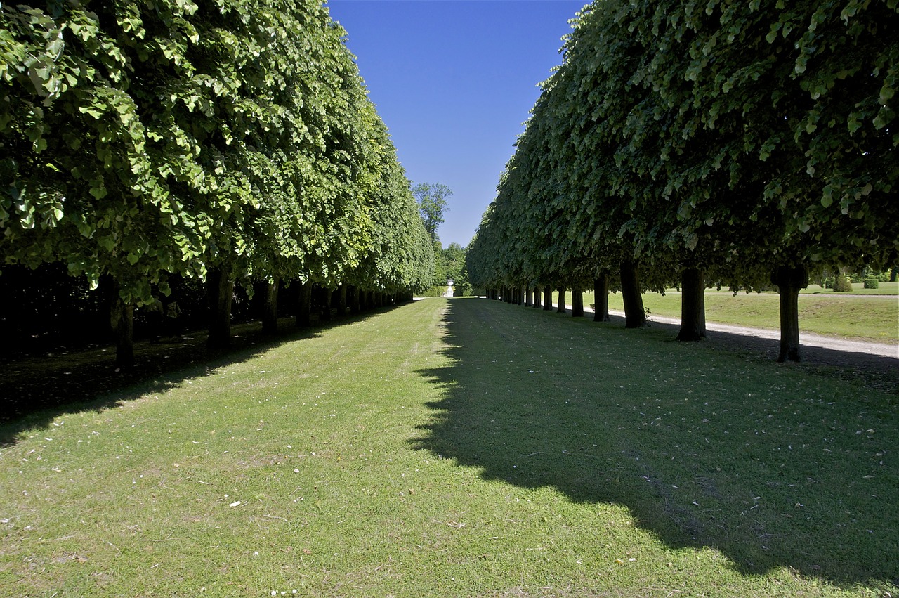 france park landscape free photo