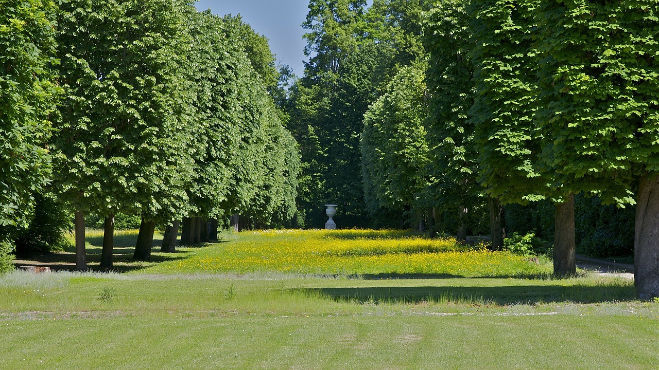 france landscape forest free photo