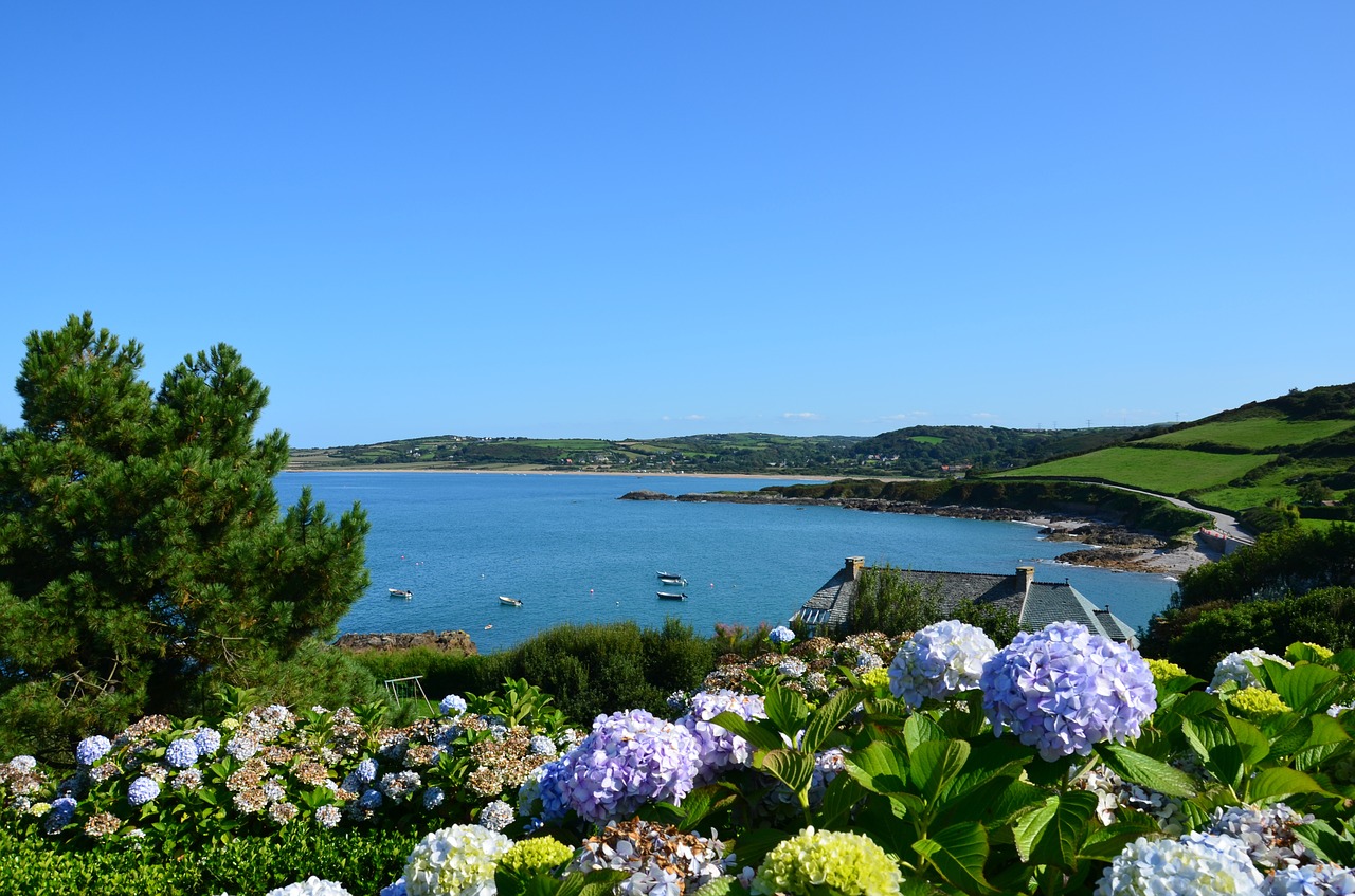 france cotentin root port free photo