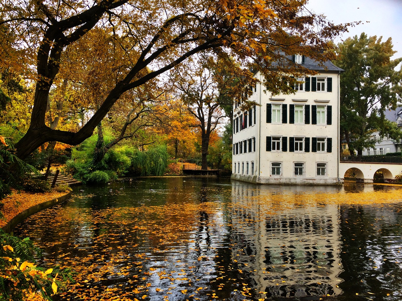 frankfurt holzhausen park the waldschlösschen holzhausen free photo