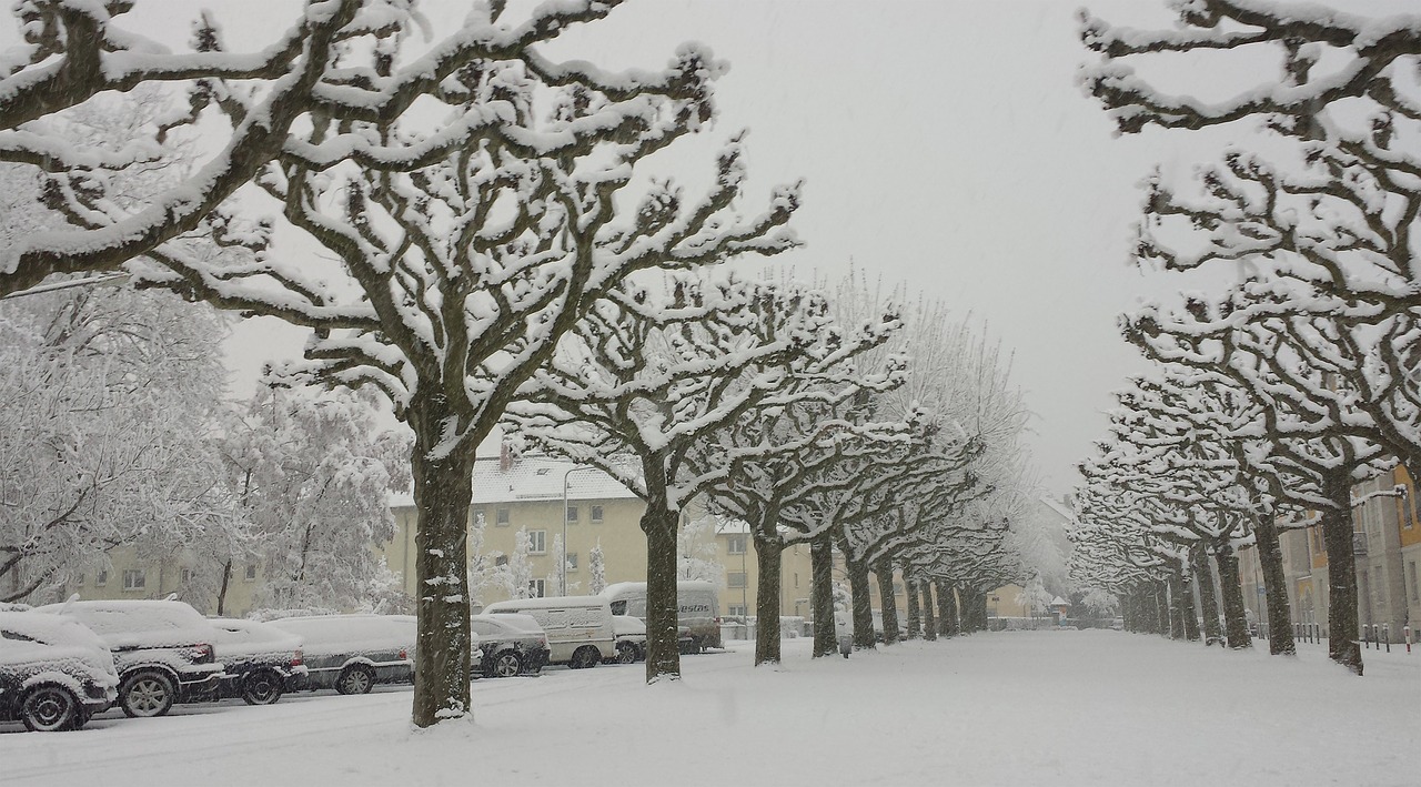 frankfurt hoechst snow free photo