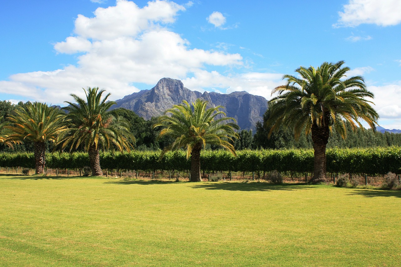 franschhoek south africa winery free photo