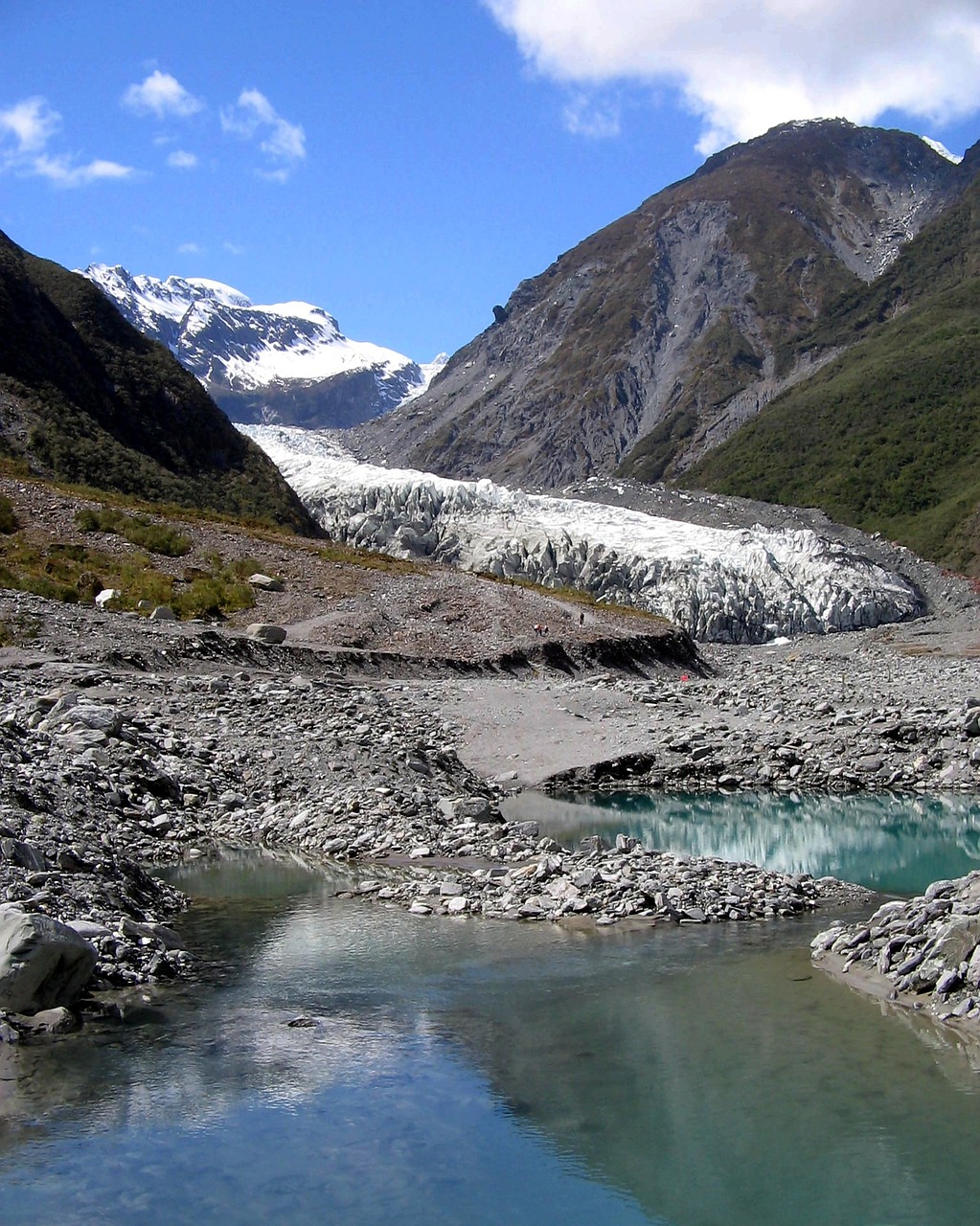 franz josef glacier new zealand scenic free photo