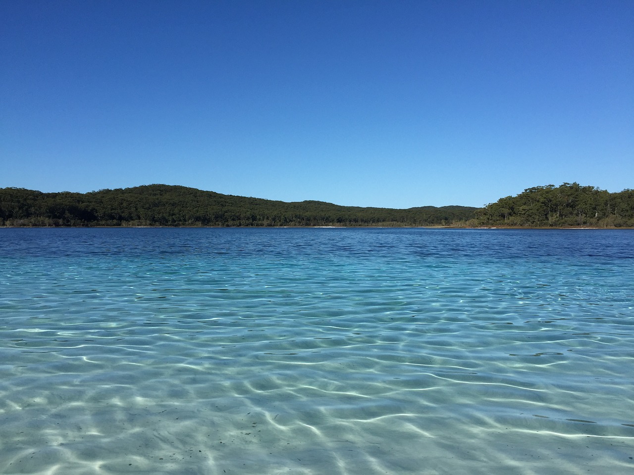fraser island australia water free photo