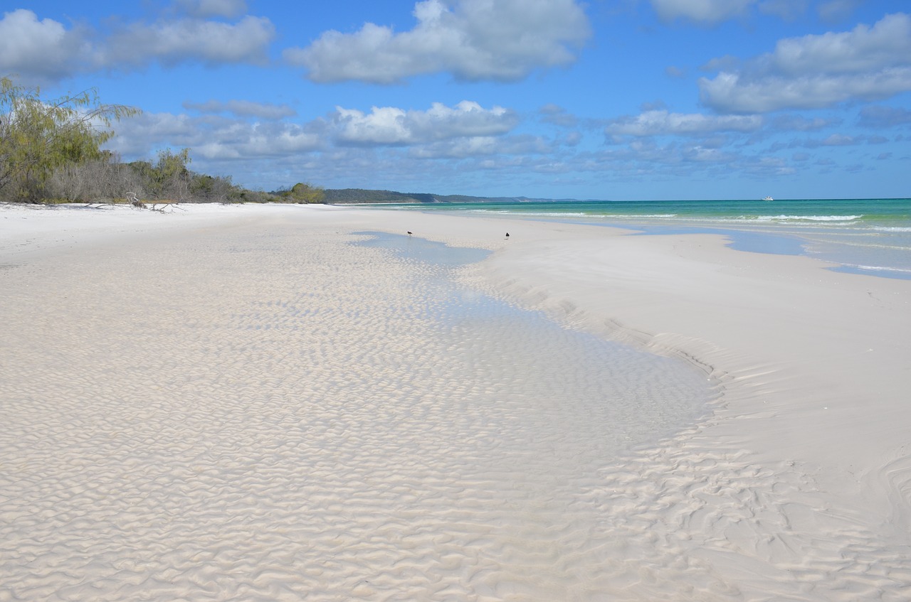 fraser island  beach  ripples free photo