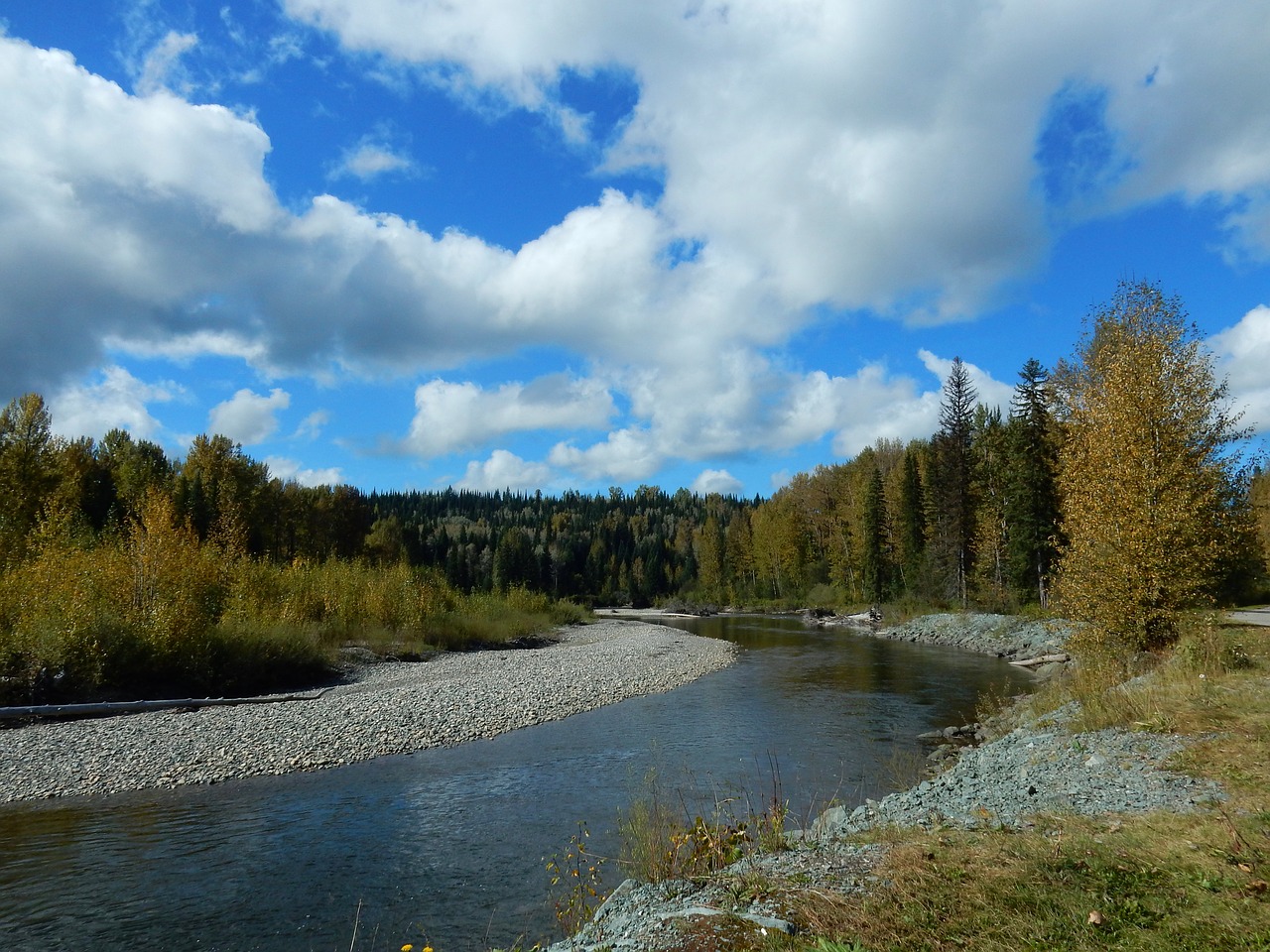 fraser river river canada free photo