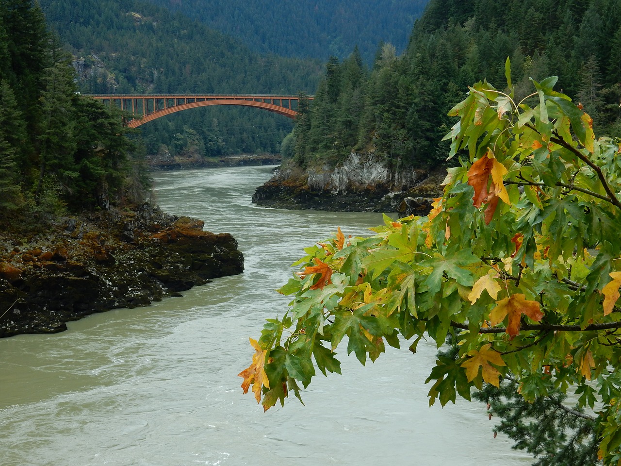 fraser river british colombia canada free photo