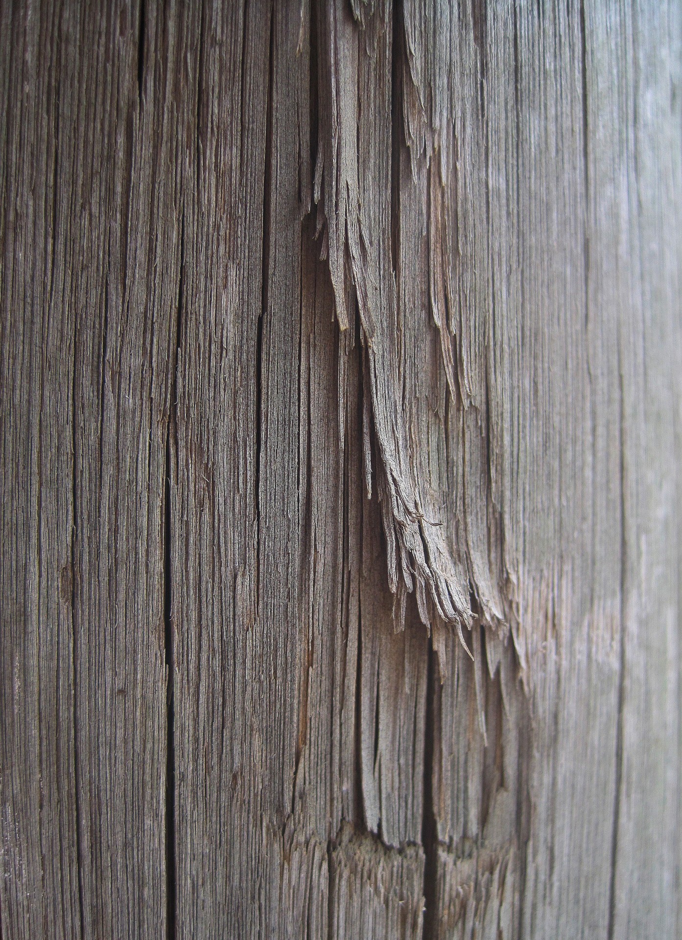 pole wood old free photo