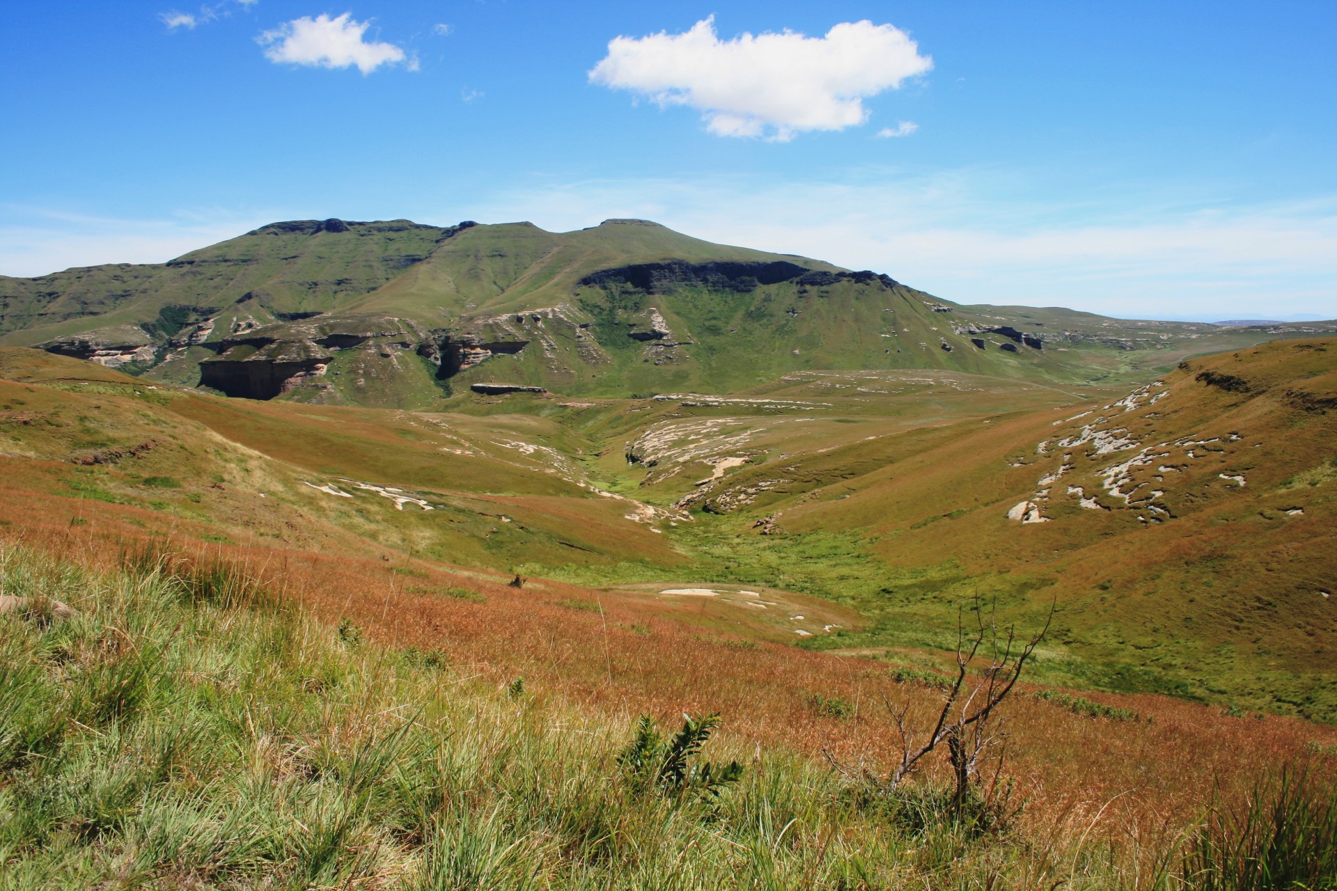 mountain sloping sides mountain rust green veld free photo