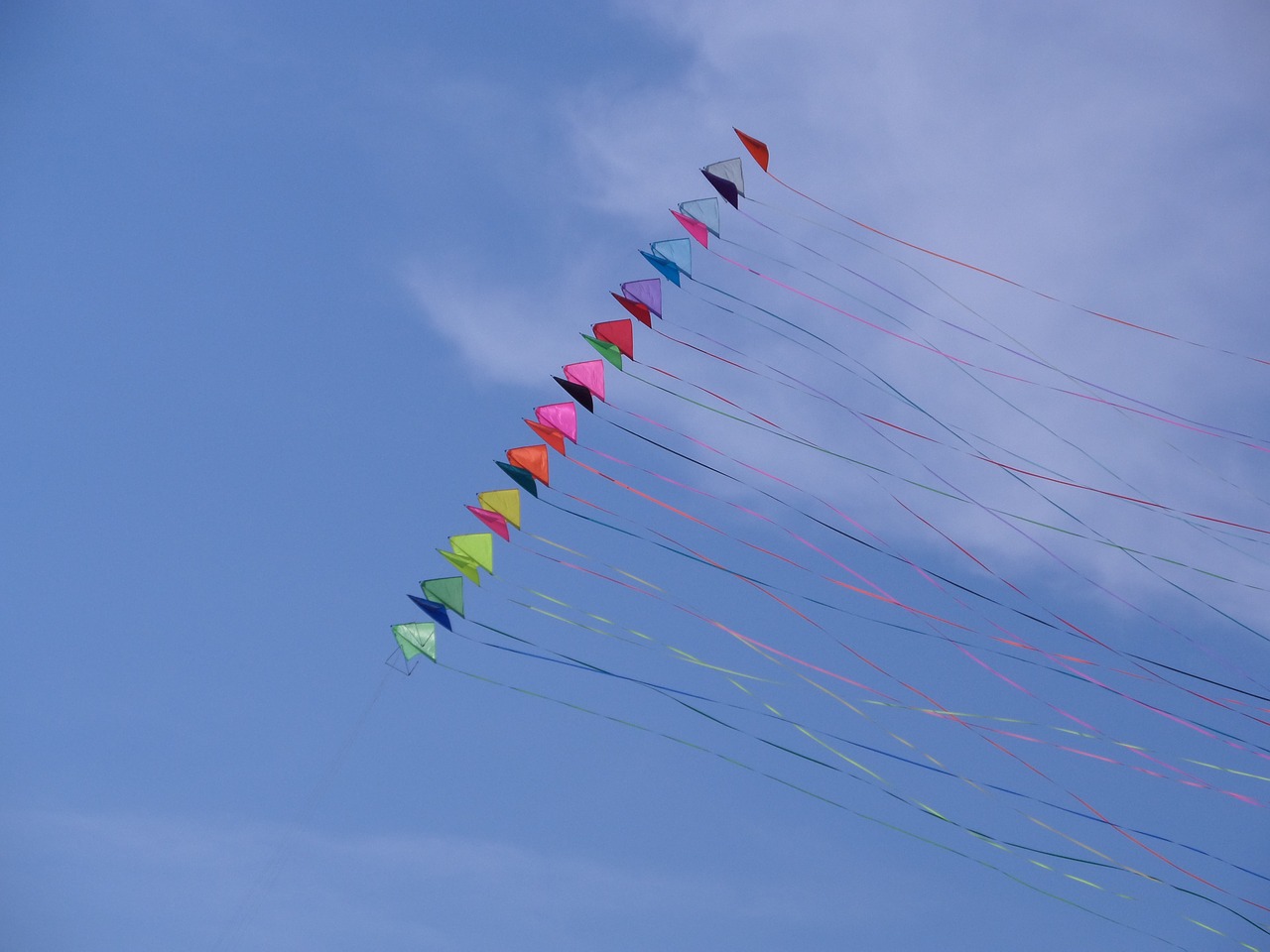 free time activity kite free photo