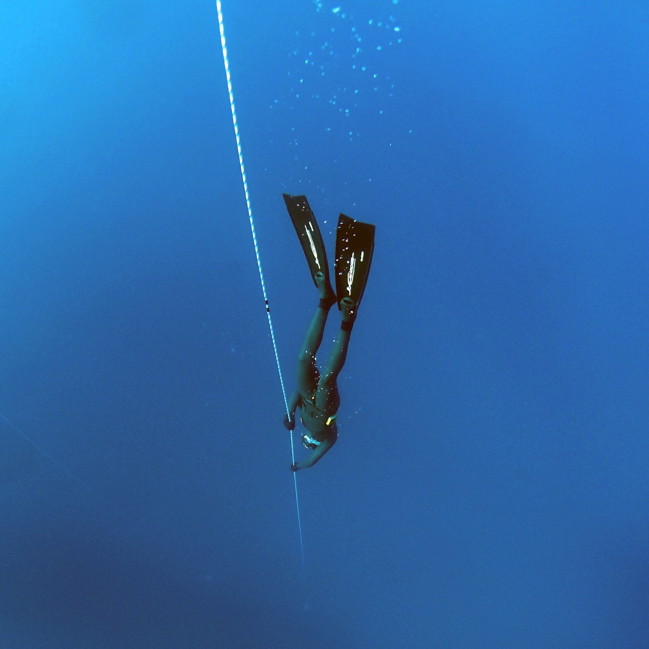 freediving deep underwater free photo