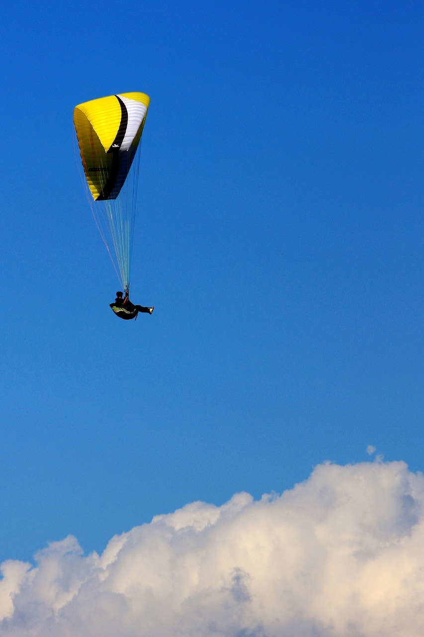 freedom parachute sky free photo