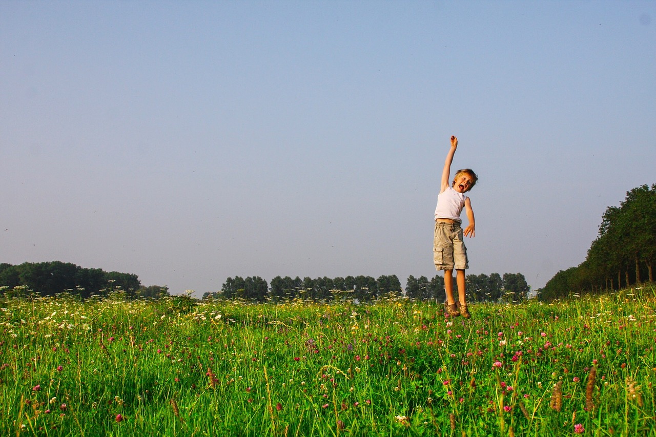 freedom meadow spring summer free photo