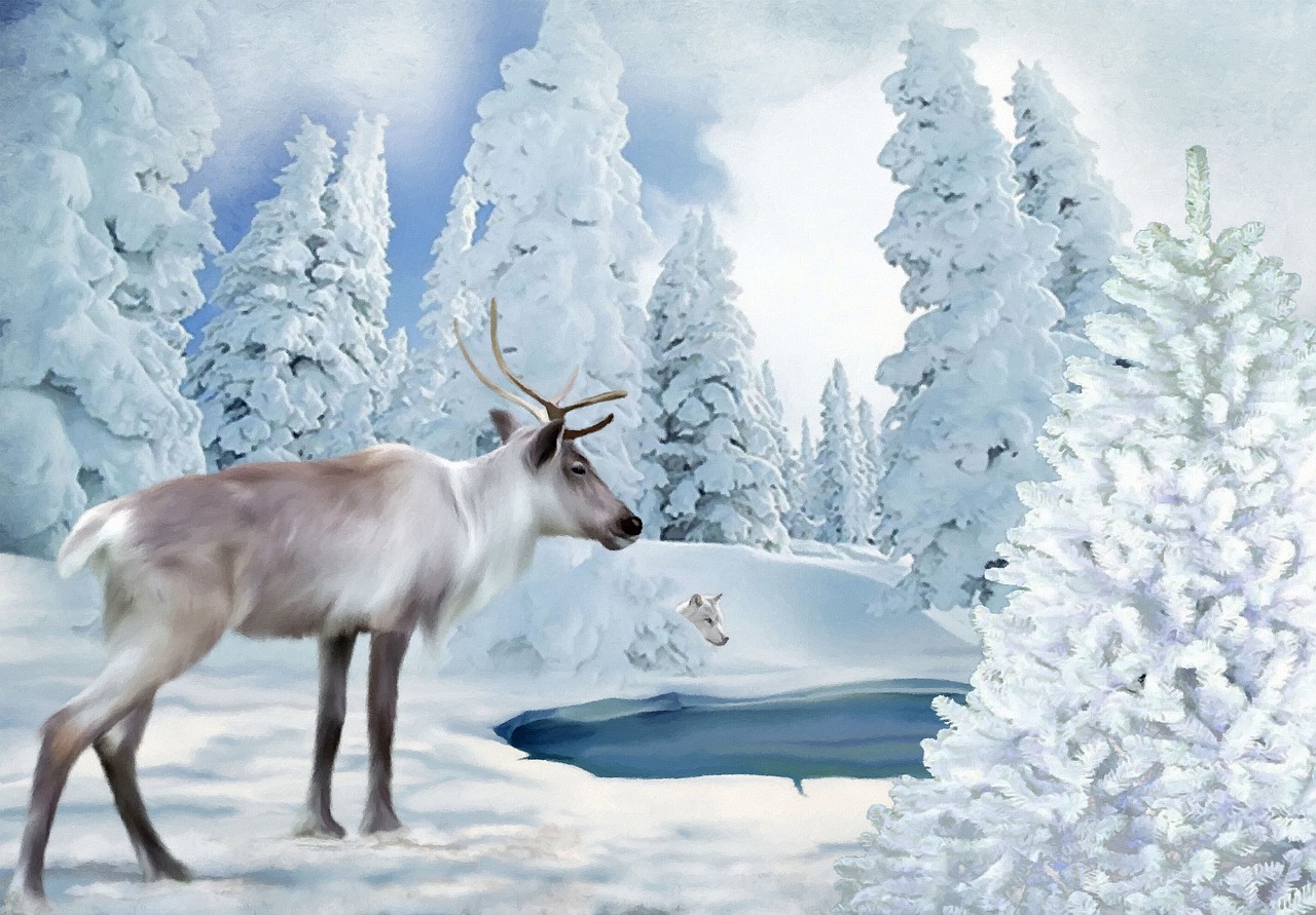 freezing time reindeer wolf free photo