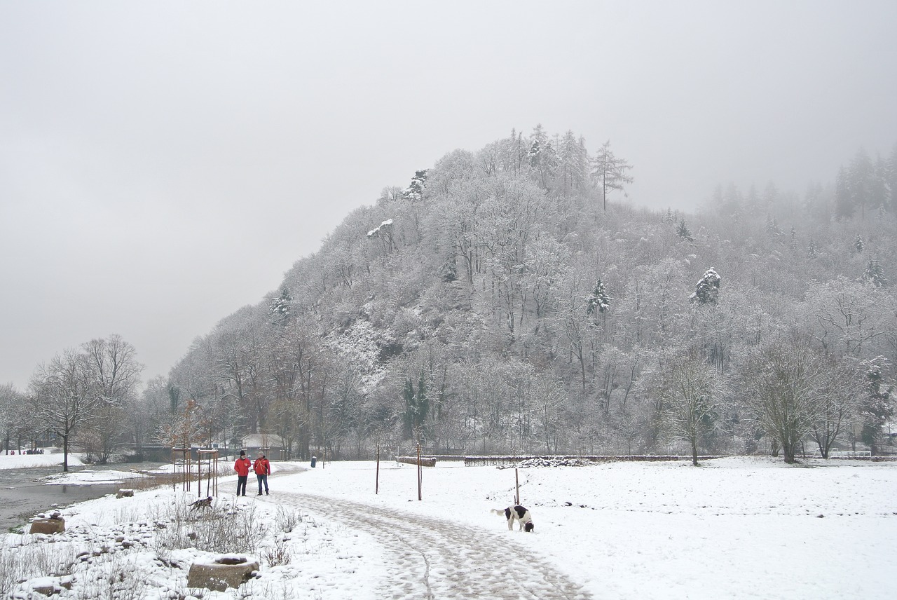 freiburg snow mist free photo