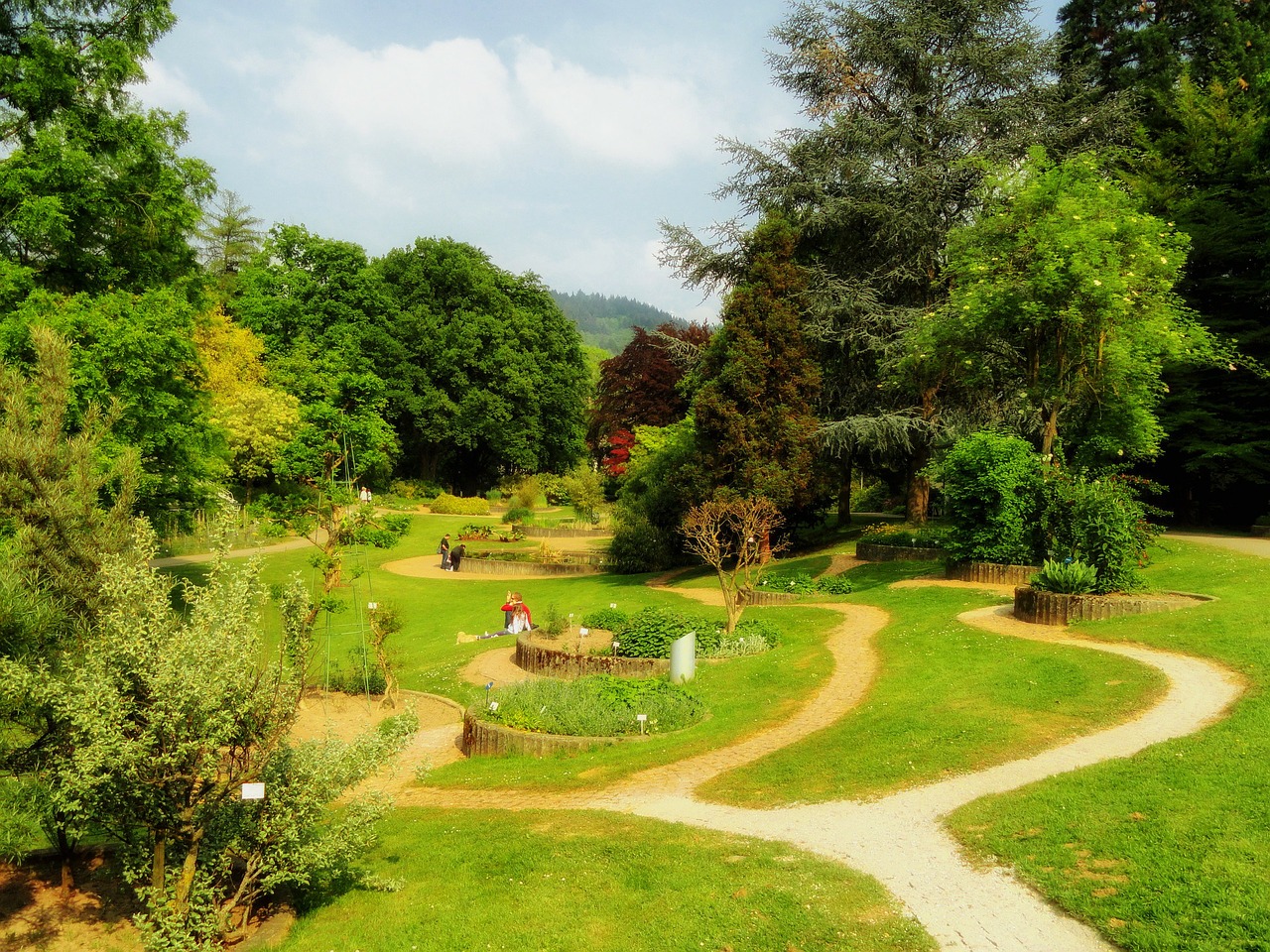 freiburg germany botanical garden free photo