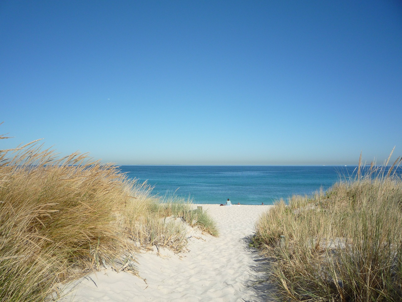 fremantle beach sand sea free photo