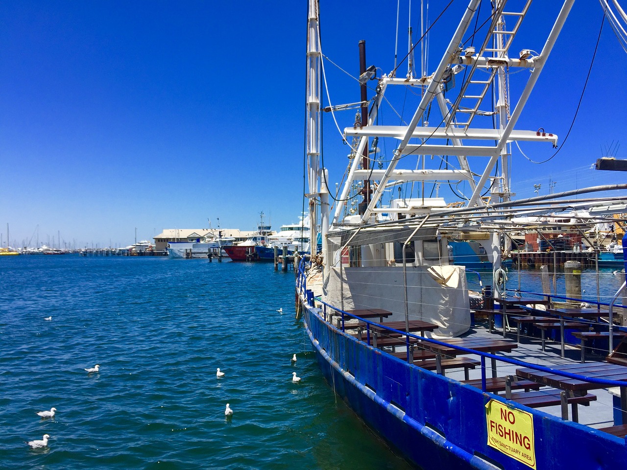 fremantle port perth australia free photo