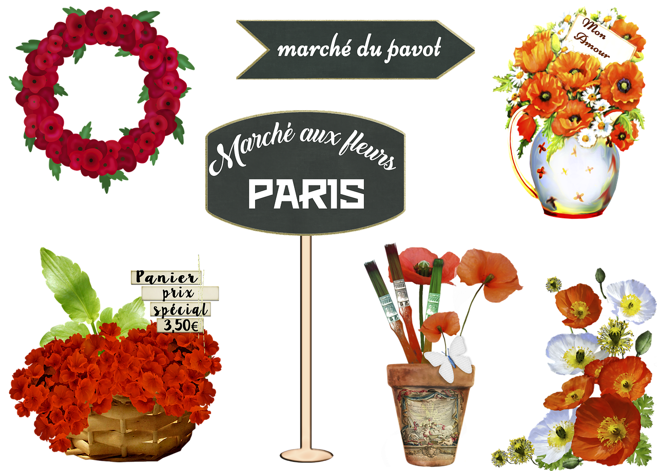 french flower market  poppy  marche aux fleurs free photo