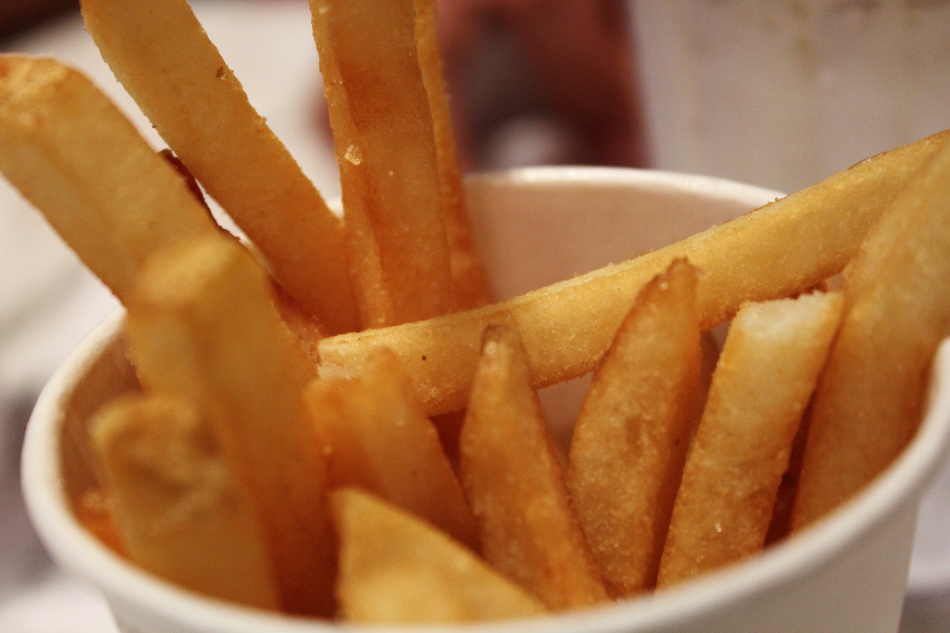 french fries fried fries fried potato free photo