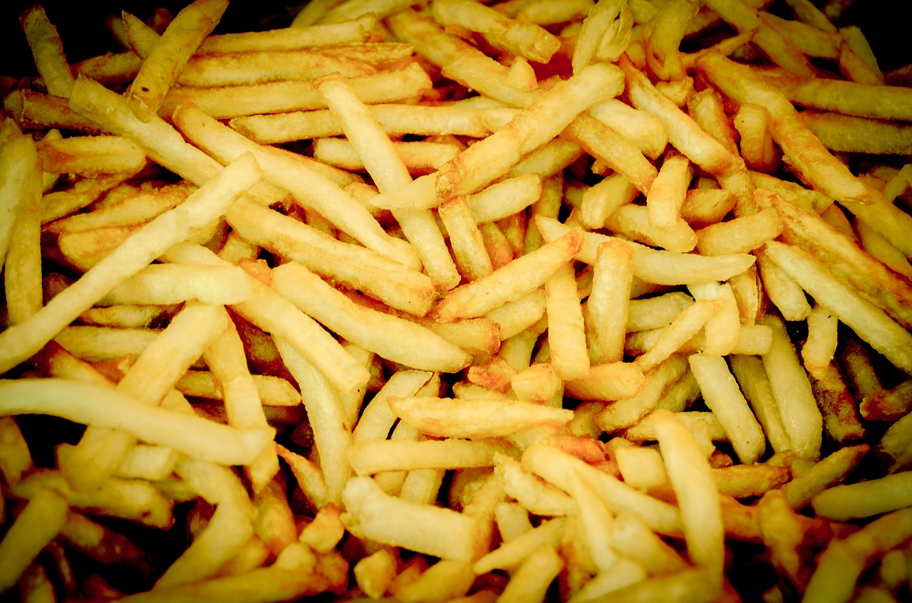 french fries eating fastfood free photo