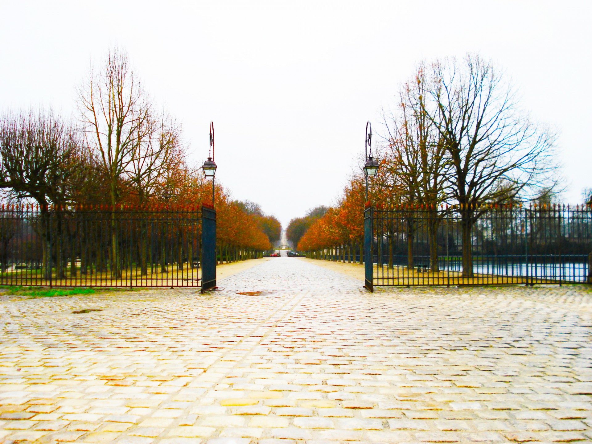 gates paris leaves free photo