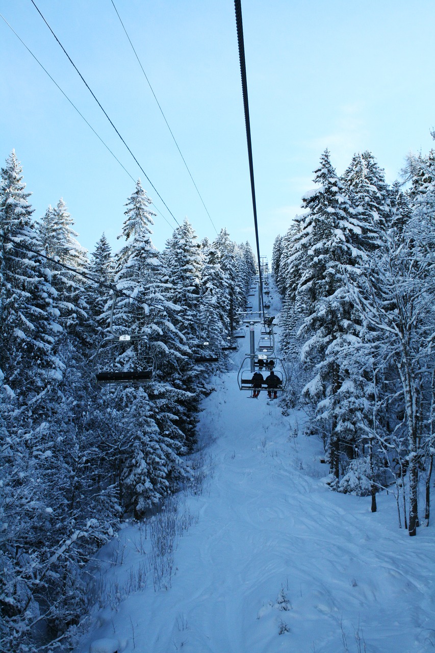 french-speaking switzerland snow trees free photo