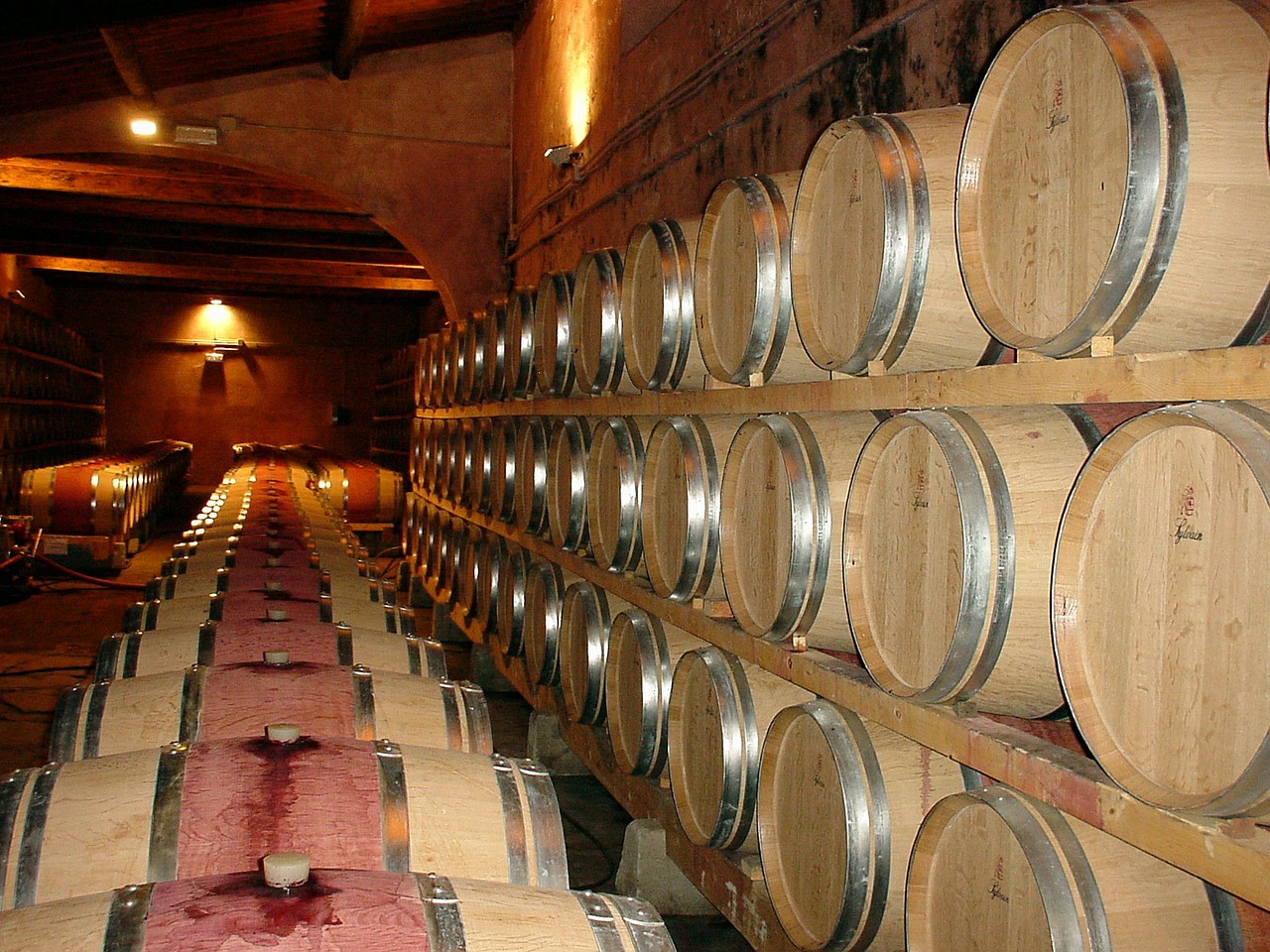 frescobaldi wine cellar wine barrels free photo