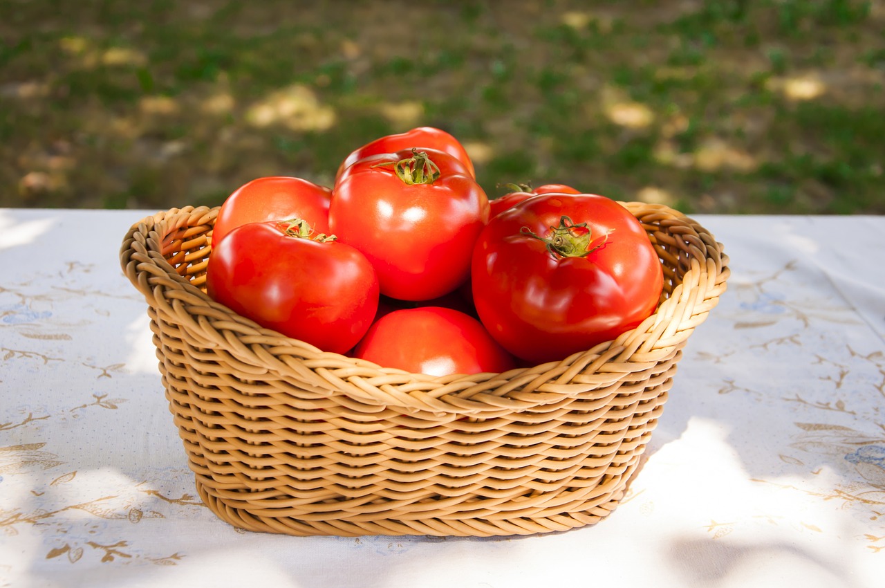 fresh tomatoes basket free photo