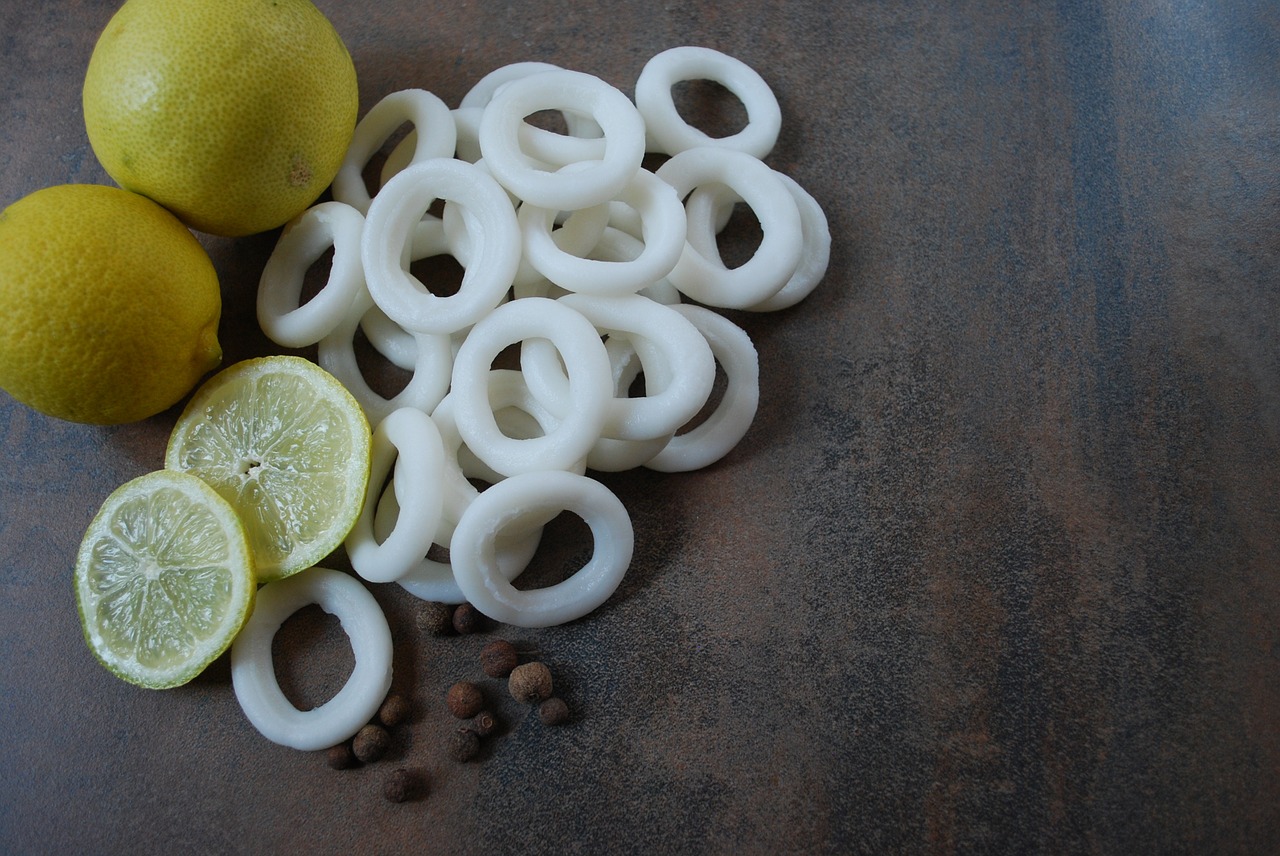 fresh squid rings free photo