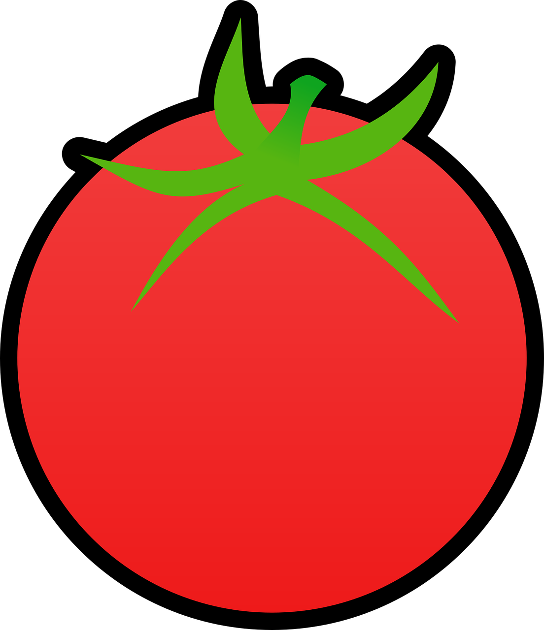 fresh red tomato free photo