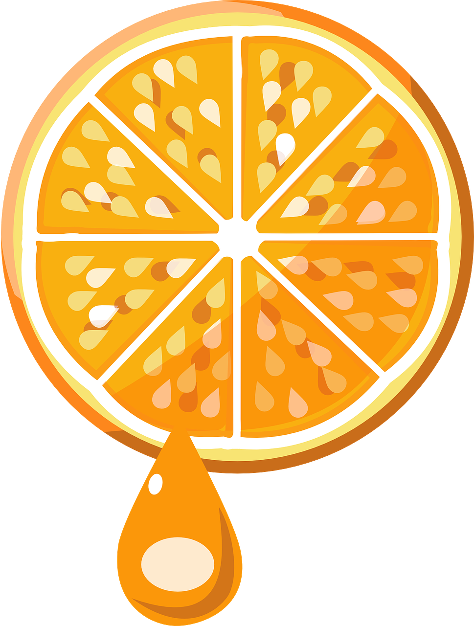 fresh fruit orange free photo