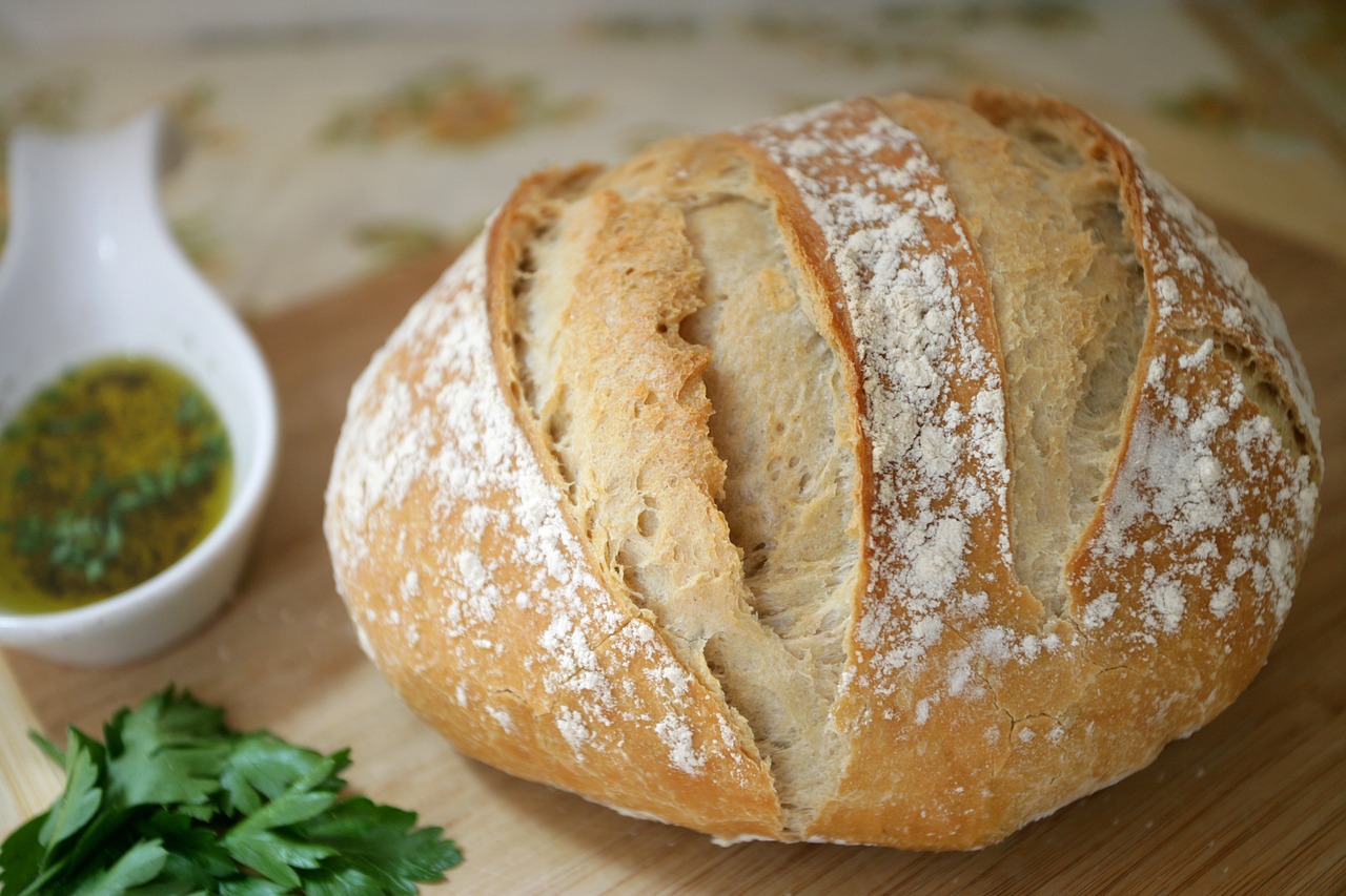 fresh bread food free photo