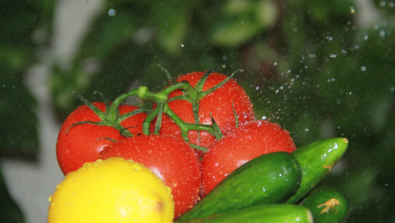 fresh cucumber tomato free photo