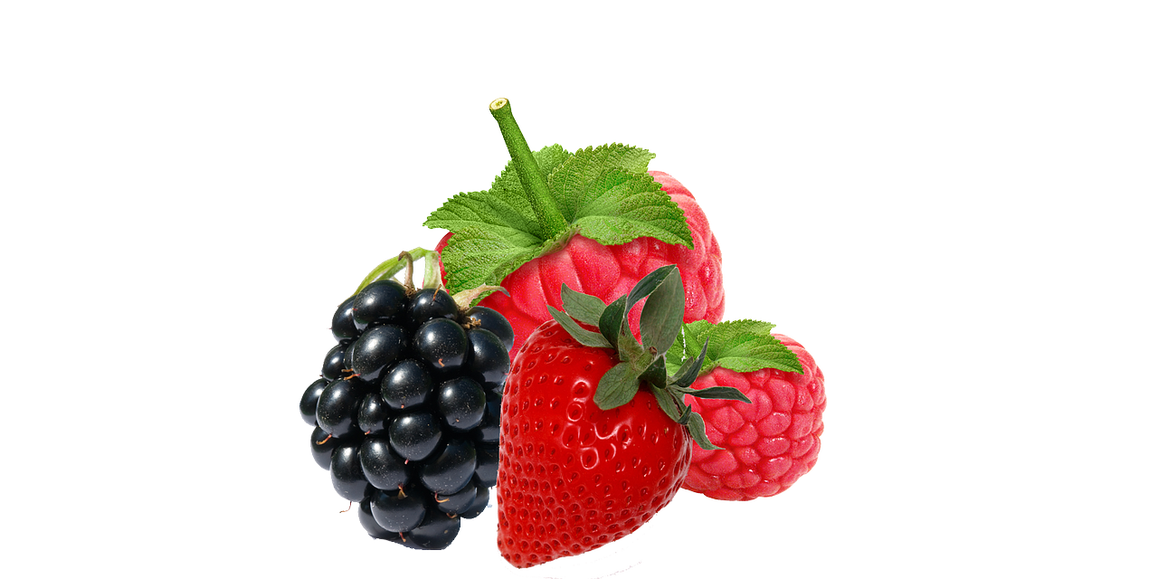 fresh berries blackberry free photo