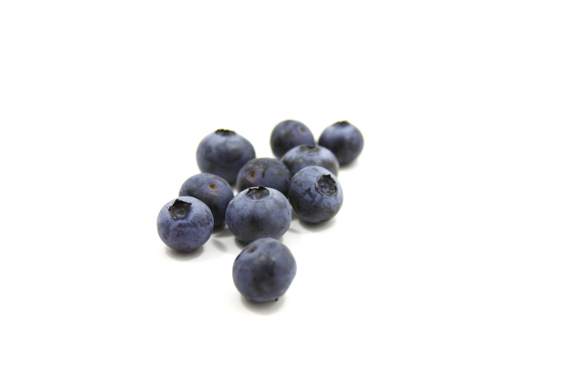 blueberry blueberries fresh free photo