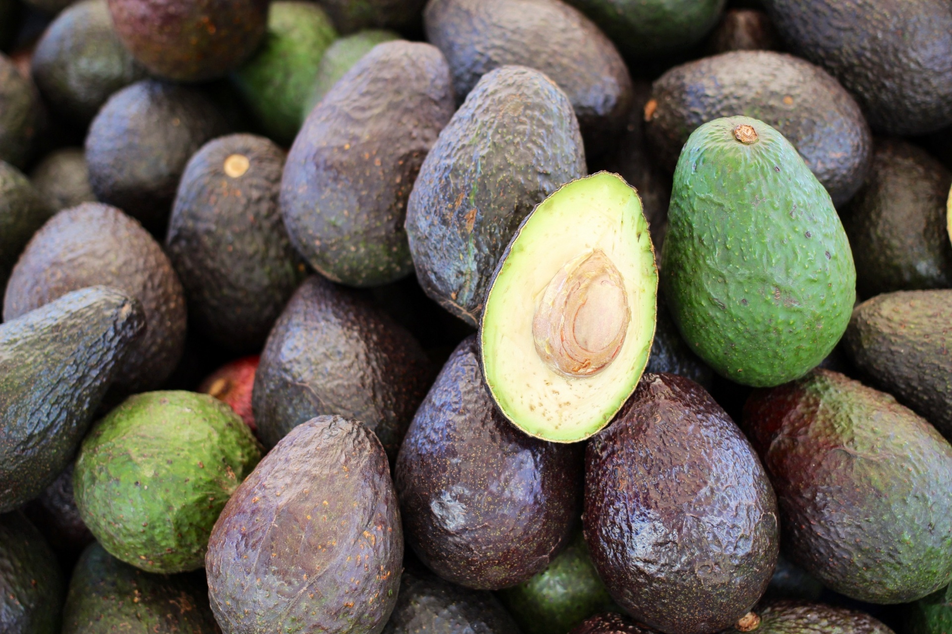 avocados fruit food free photo