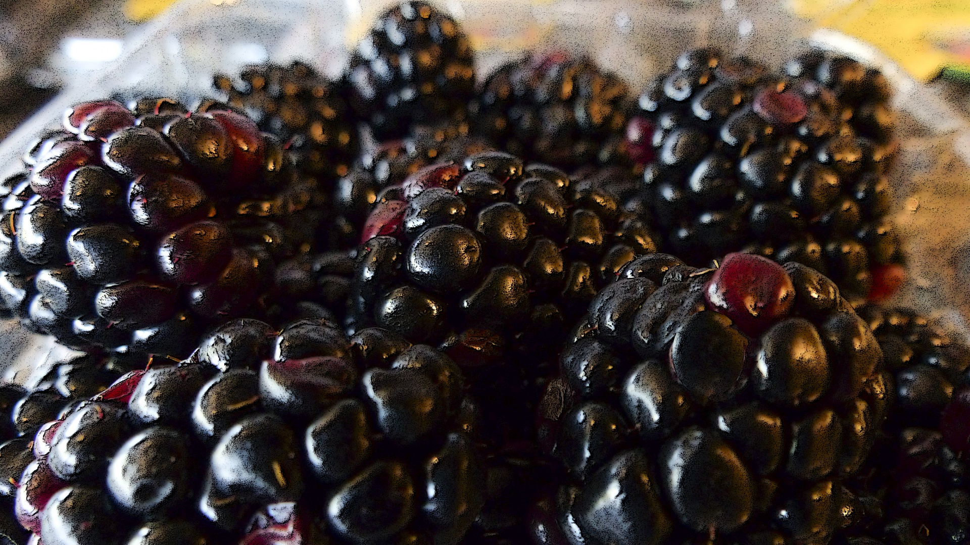blackberries background bright free photo