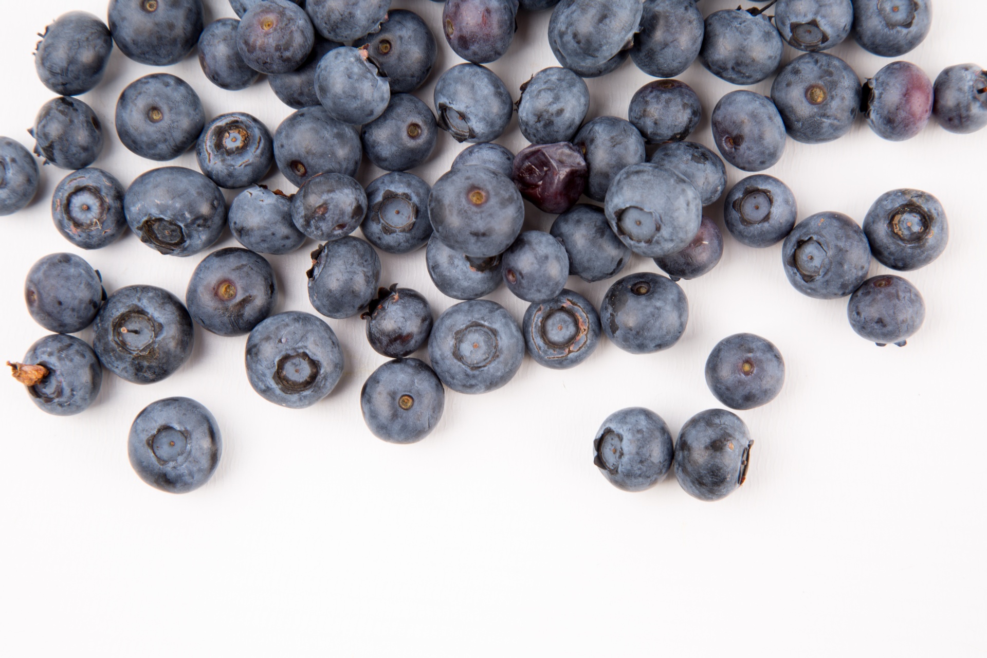 background berry blueberry free photo