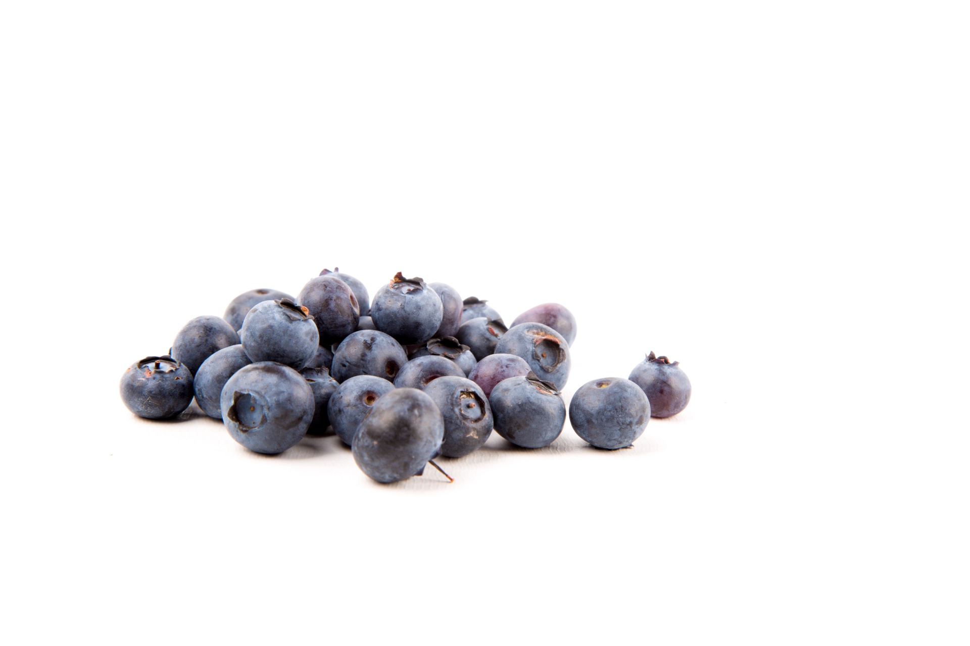 background berry blueberry free photo