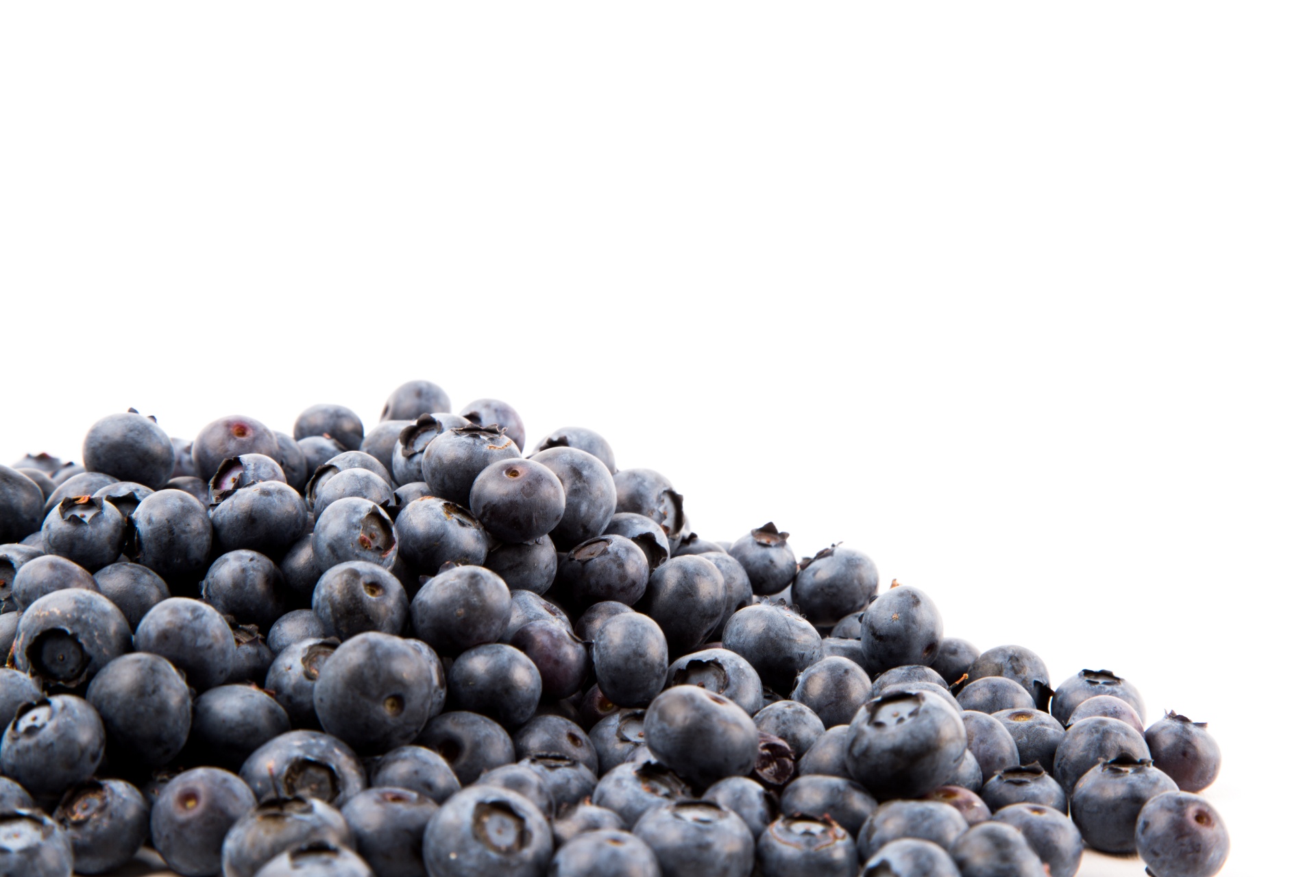 background berry blueberry free photo