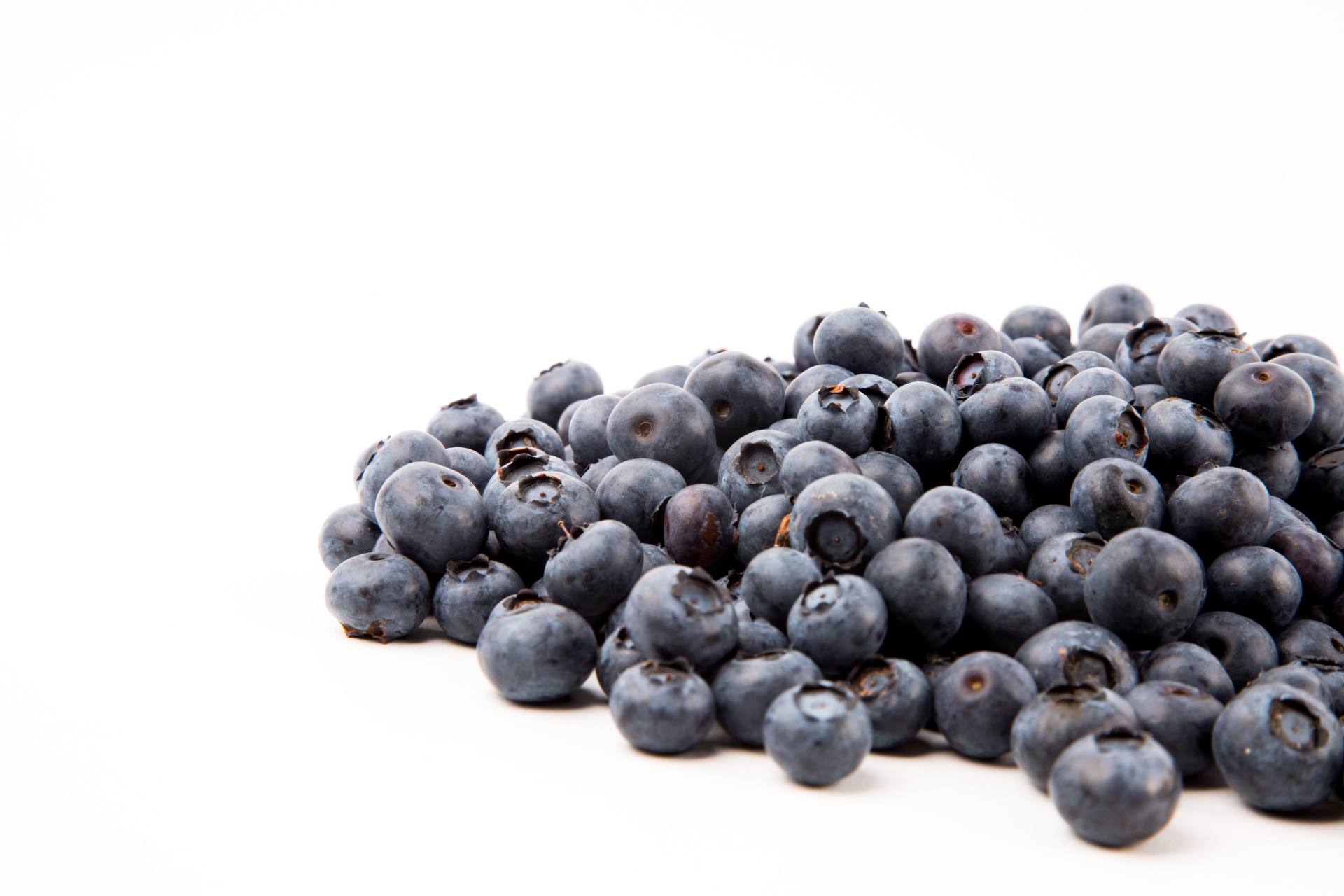 background berry blueberry free photo