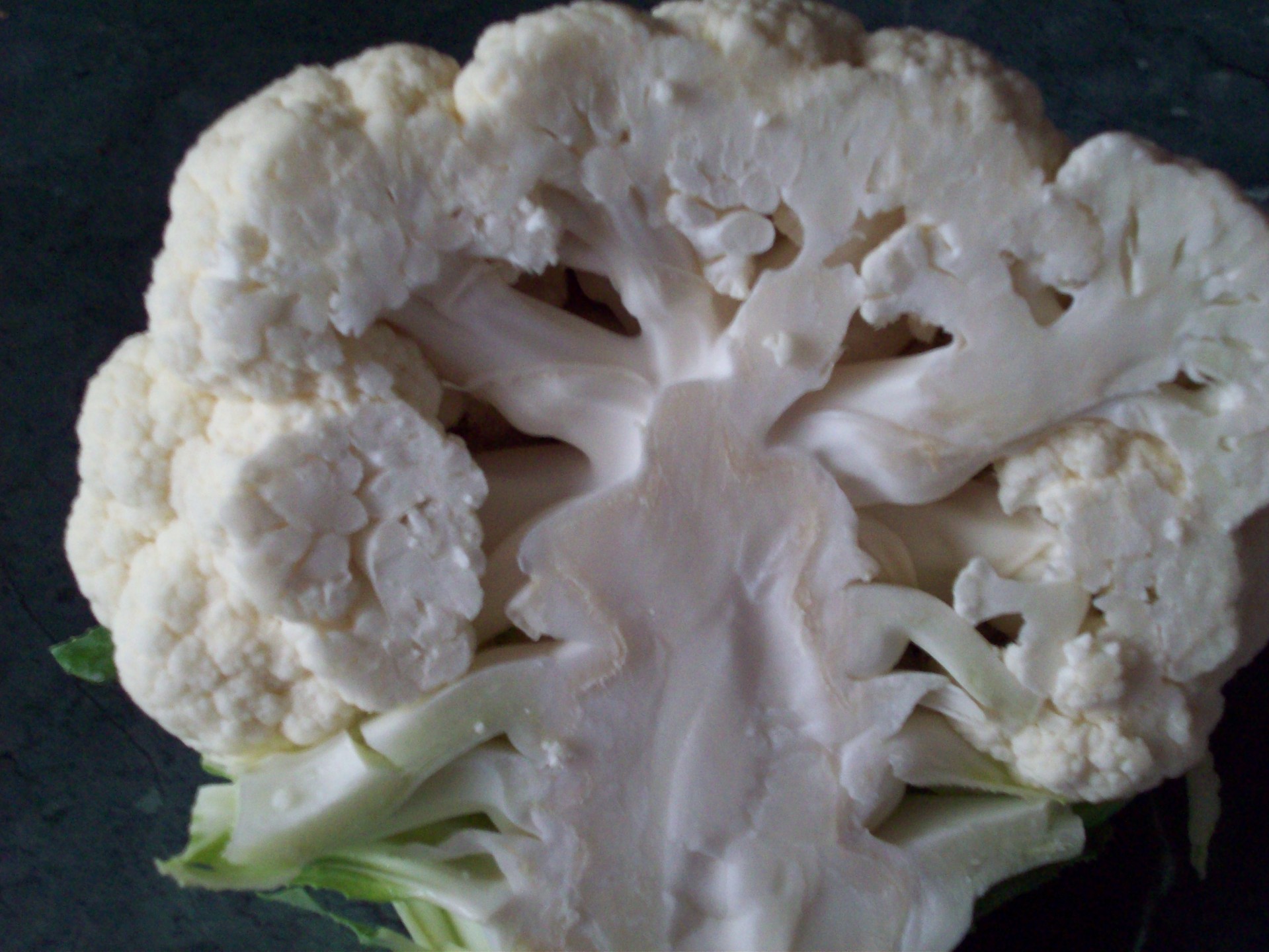 cauliflower fresh cauliflower cut cauliflower free photo