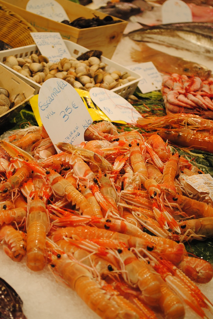 fresh fish prawns market stall free photo