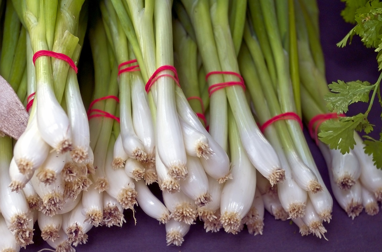 fresh green onion bunches  vegetables  food free photo