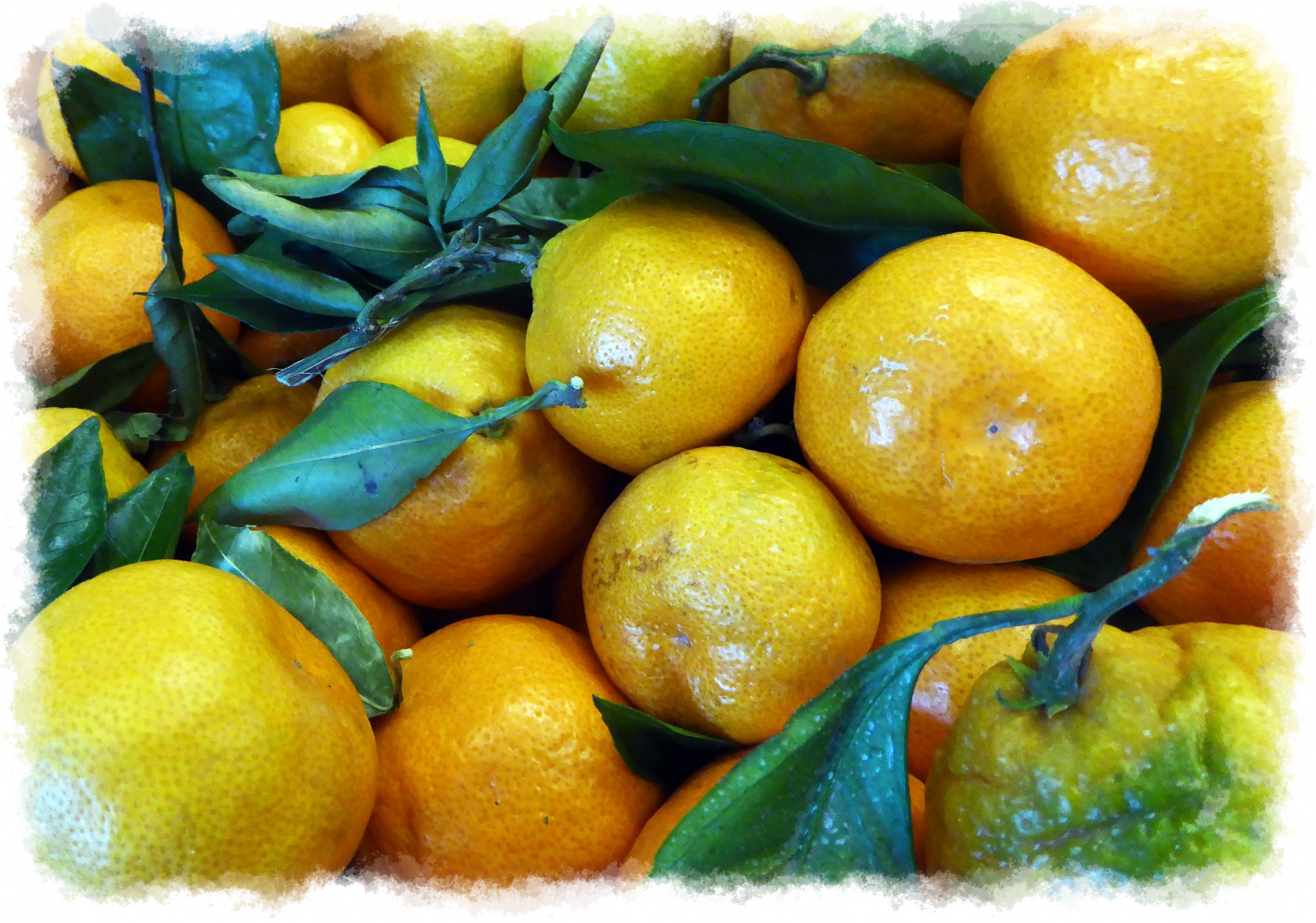 lemons lemon yellow free photo